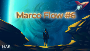 macro flow