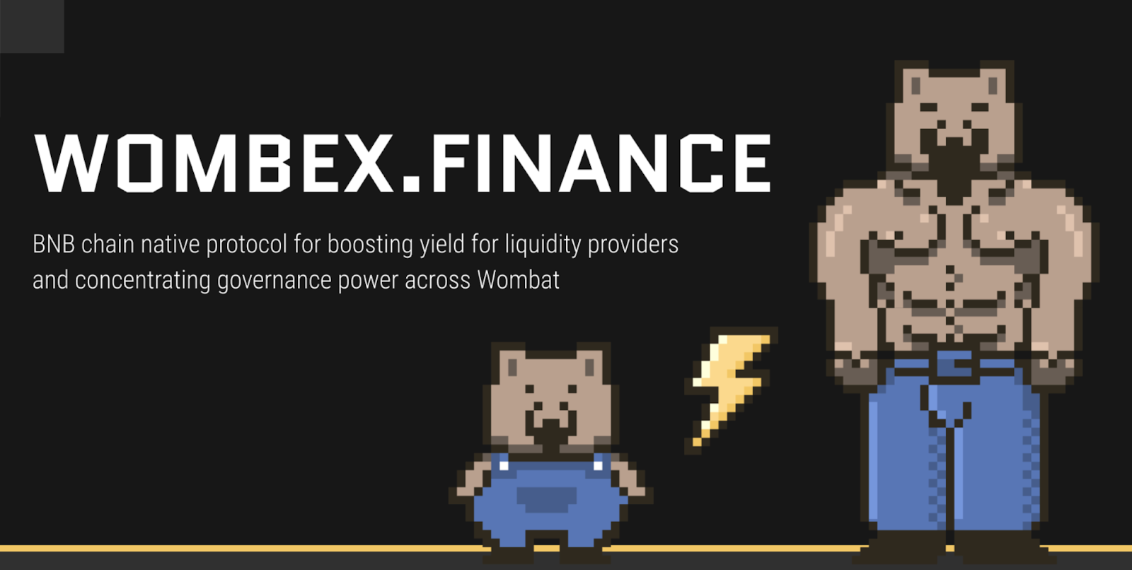 wombex finance 1