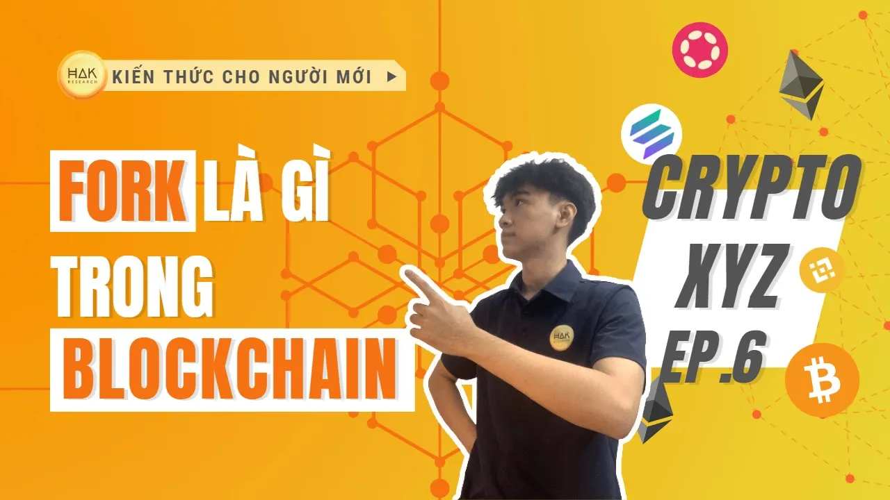 Crypto Panorama 101 | Tập 6: Fork Là Gì?