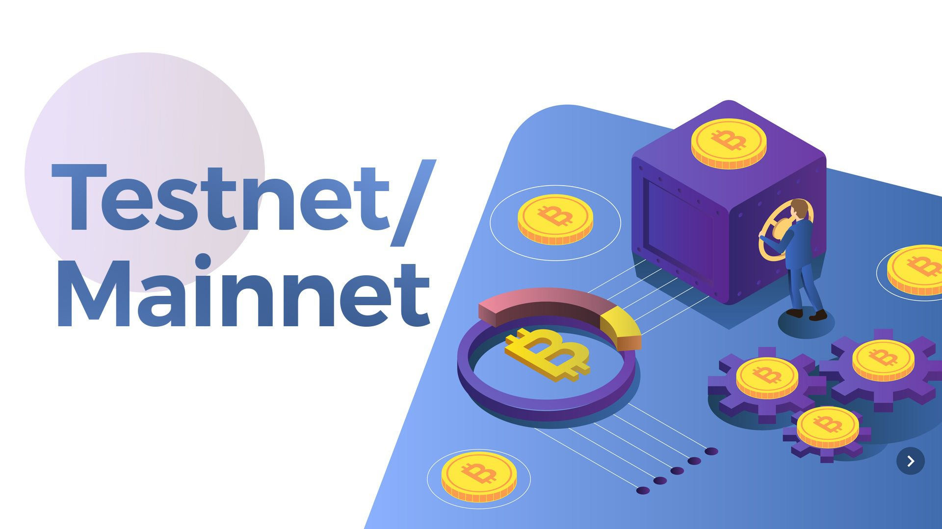 Devnet, Testnet & Mainnet là gì