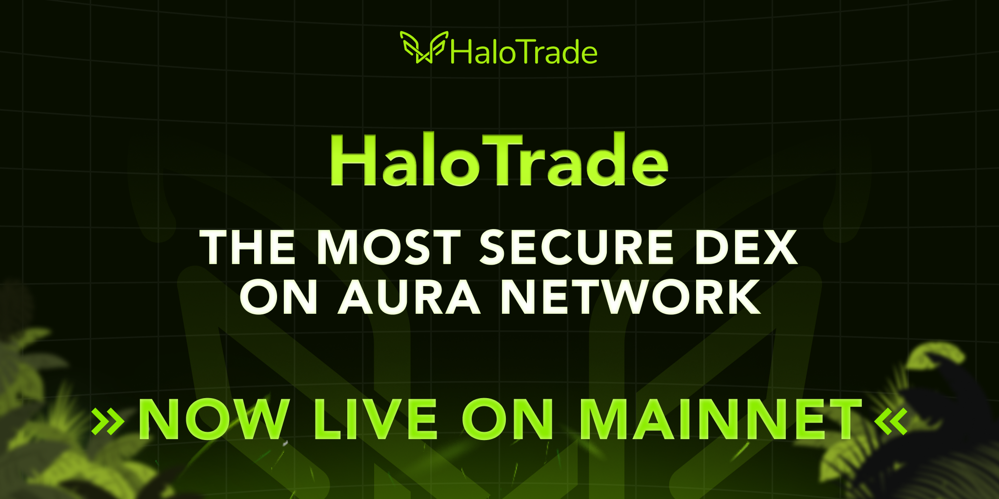 HaloTrade đã chính thức Mainnet trên Aura Network