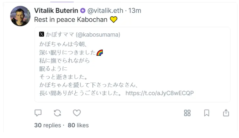 Vitalik bày tỏ lời chia buồn với Kabosu