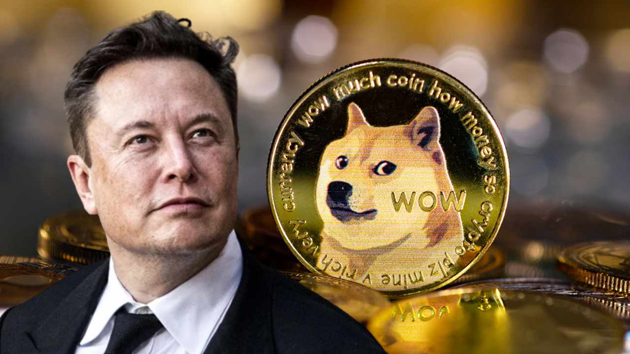 DogeCoin - Con cưng của Elon Musk