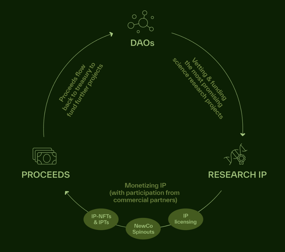 Phân tích Bio Protocol