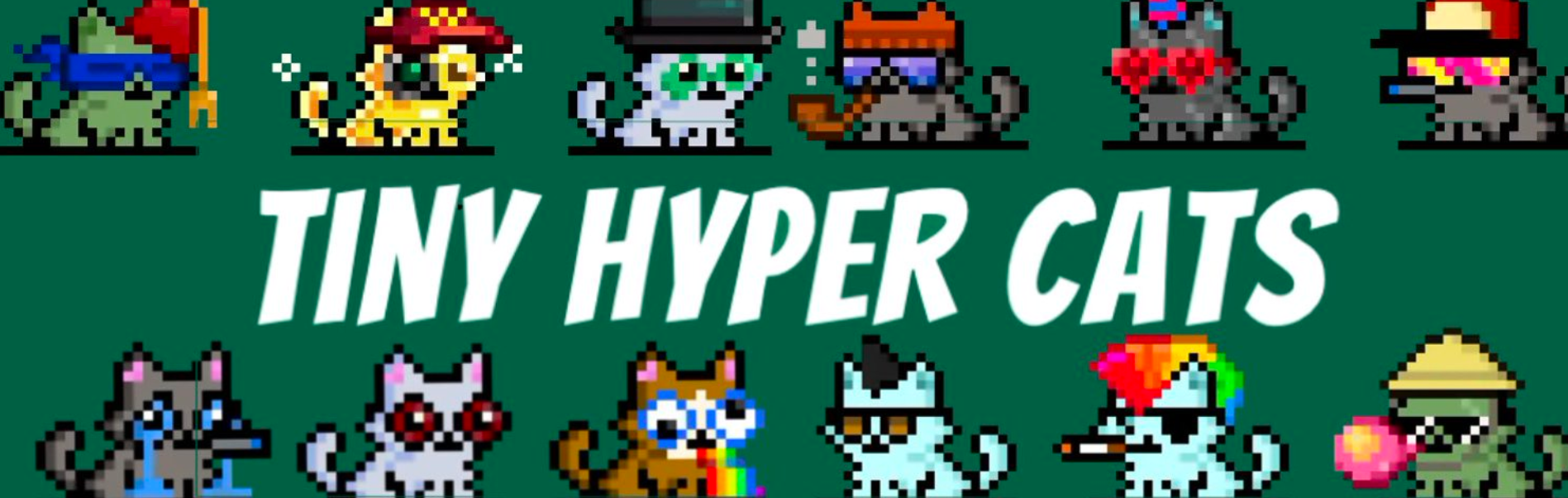 TinyHyperCats là gì