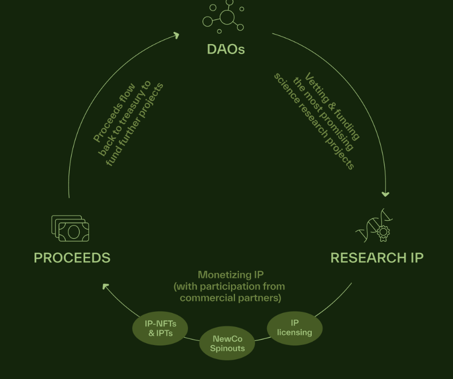 Screenshot 2025-08-08 144308