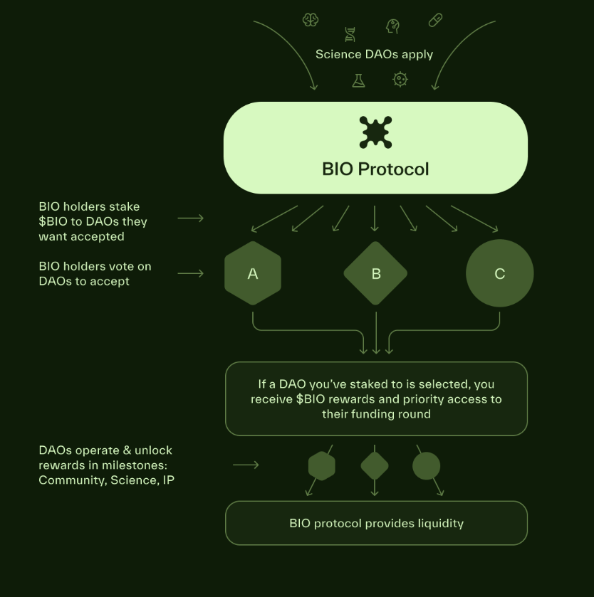 Screenshot 2025-08-08 144753